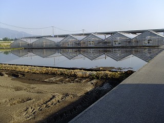 香川 413.jpg
