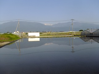 香川 414.jpg