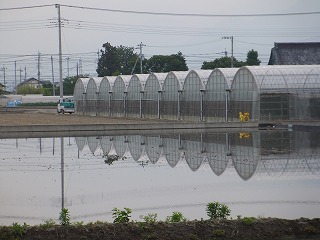 香川 430.jpg