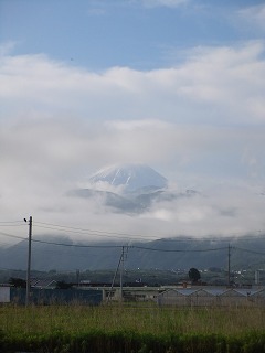 香川 598.jpg