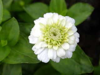 香川 664.jpg