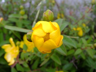鎌倉 001.jpg