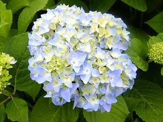 鎌倉 011.jpg