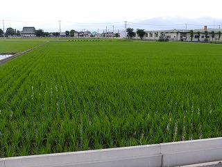 鎌倉 053.jpg