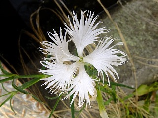 鎌倉 064.jpg