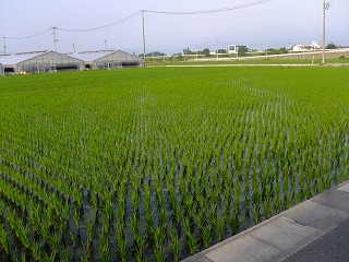 鎌倉 065.jpg