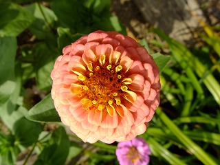 鎌倉 077.jpg
