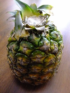 鎌倉 233.jpg