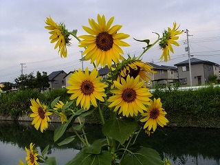 金沢 077.jpg