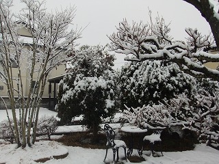 kanreki 527.jpg
