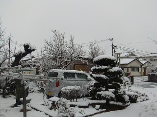 kanreki 531.jpg