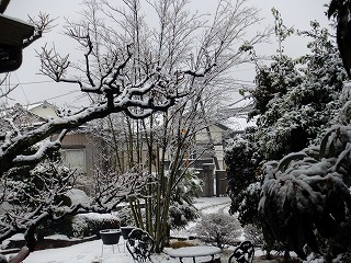 kawa 224.jpg