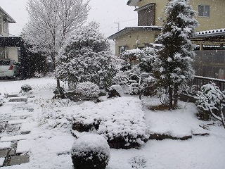 kawa 472.jpg