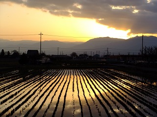 kawa 569.jpg