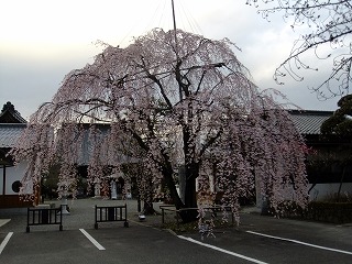 kawa 727.jpg