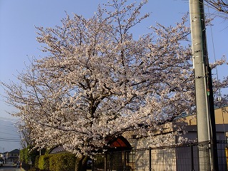 kawa 838.jpg