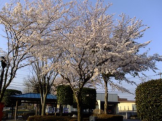 kawa 843.jpg