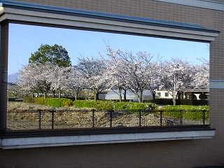 kawa 877.jpg