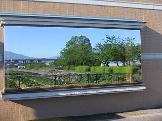 megane 570.jpg