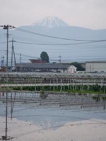 日本丸 002.jpg