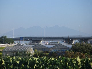 三枝 168.jpg