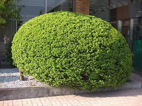 散歩シリーズ 026.jpg