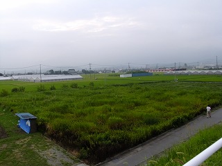 sora 464.jpg
