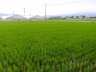 時計 005.jpg