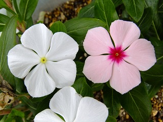 時計 009.jpg
