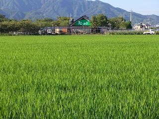 時計 118.jpg
