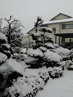 東京 150.jpg