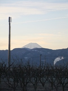 東京 431.jpg
