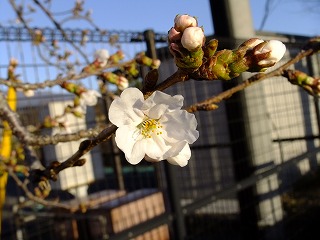 東京 578.jpg