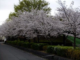 東京 637.jpg