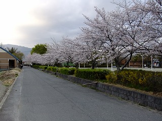 東京 640.jpg