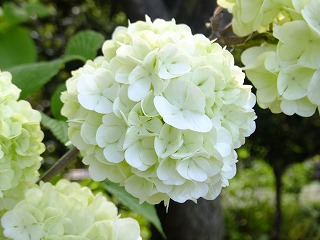 富山県 065.jpg