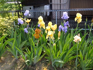 富山県 152.jpg