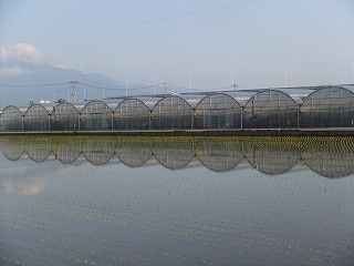 富山県 377.jpg