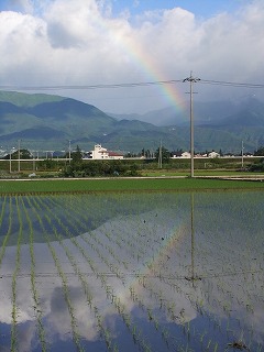 富山県 549.jpg