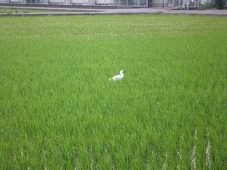 富山県 601.jpg