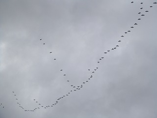 umi 034.jpg