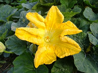 umi 042.jpg