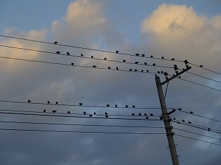 umi 236.jpg