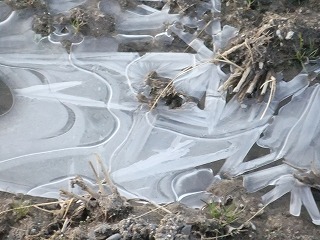 山梨県 380.jpg