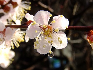 山梨県 639.jpg