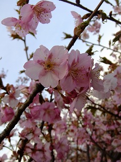 山梨県 678.jpg