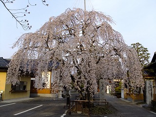 山梨県 693.jpg
