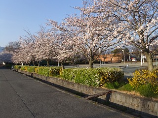 山梨県 744.jpg