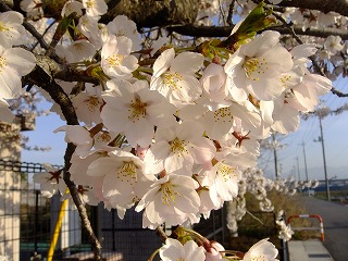 山梨県 753.jpg