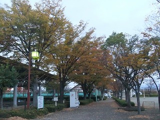 yamayama 406.jpg